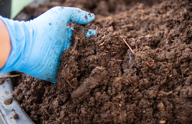 Healthy, nutrient-rich soil with manure, mulch, and worms mixed in for optimal plant growth.