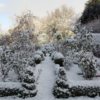 Back garden in Cambridge, ON, blanketed in snow, creating a peaceful winter scene.